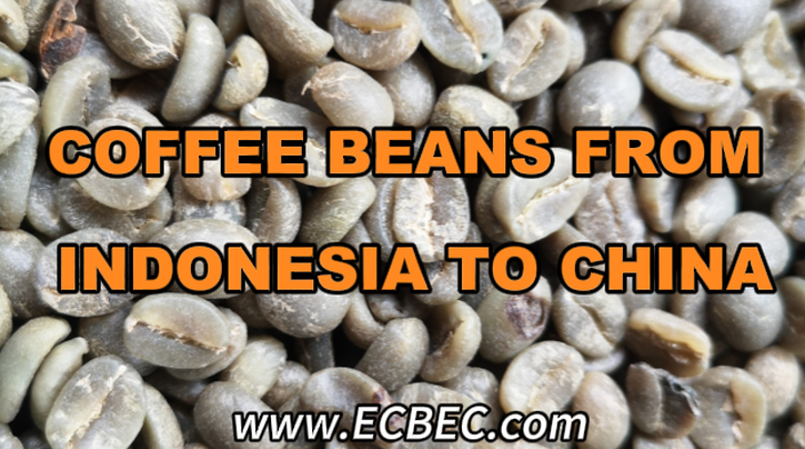 Coffee Beans from Indonesia to China: The Complete Guide to Export, Shipping & Import Compliance